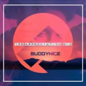 Buddynice - 19K Appreciation Mix (Redemial Sounds)